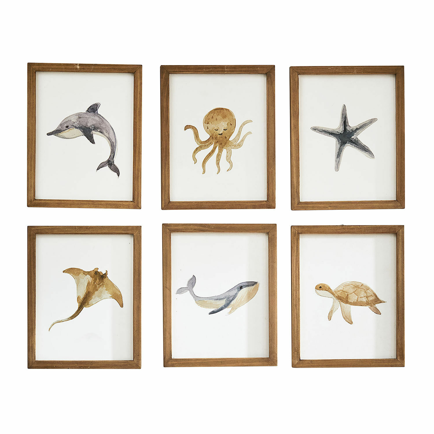 Set di 6 quadri Nibblu Set di sei cornici in legno con dipinti ad acquerello di animali marini in colori naturali