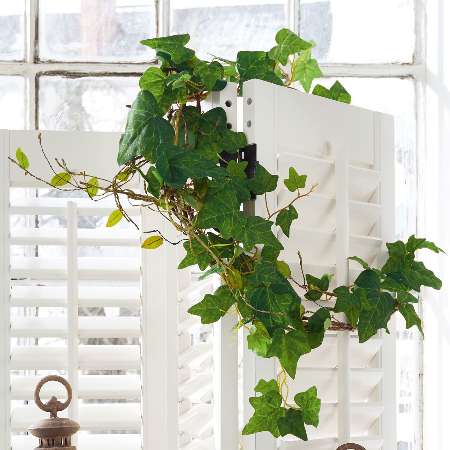 Coppia di rampicanti decorativi Plaisance