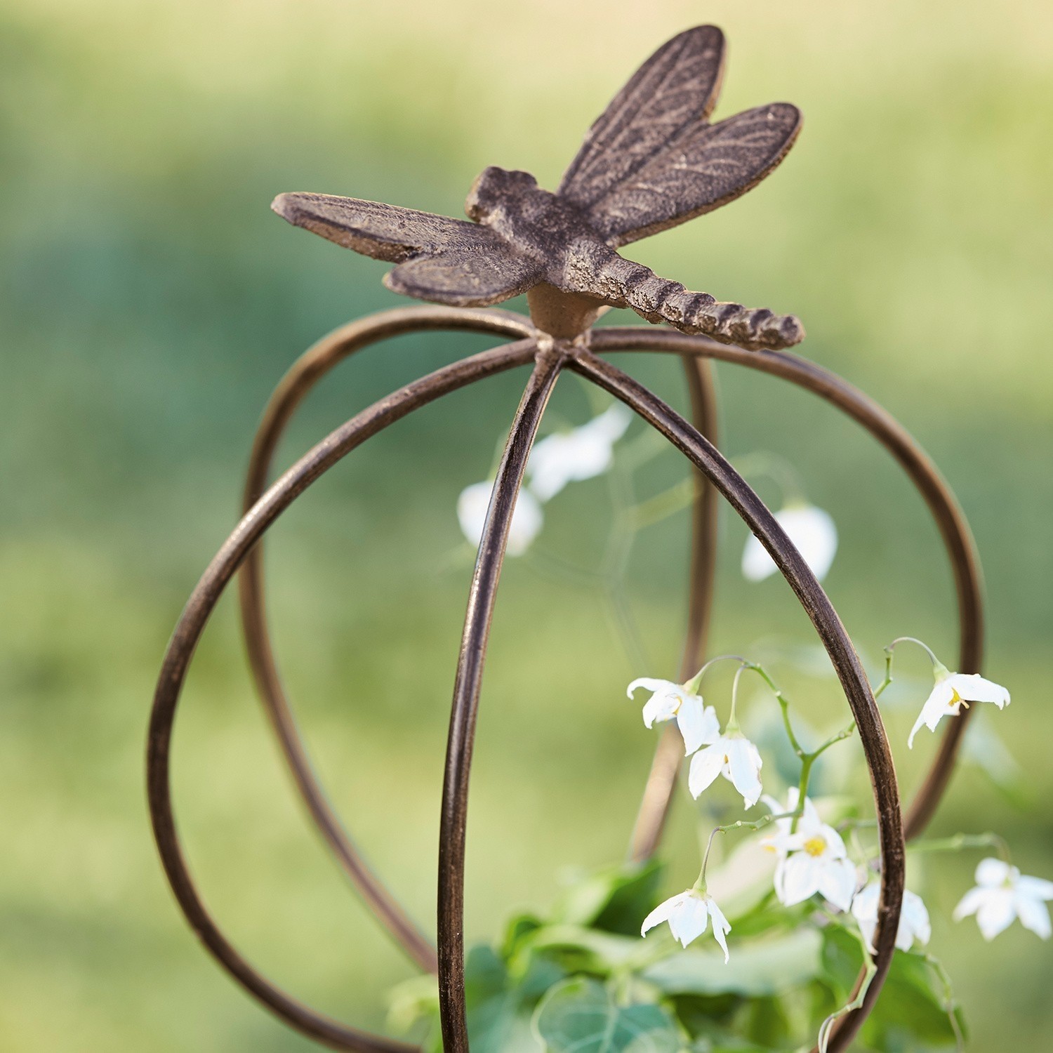 Asta da giardino Libelle
