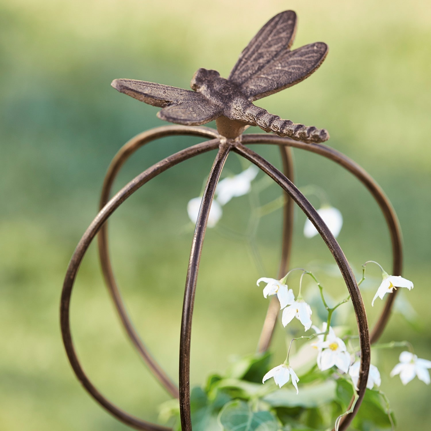 Asta da giardino Libelle