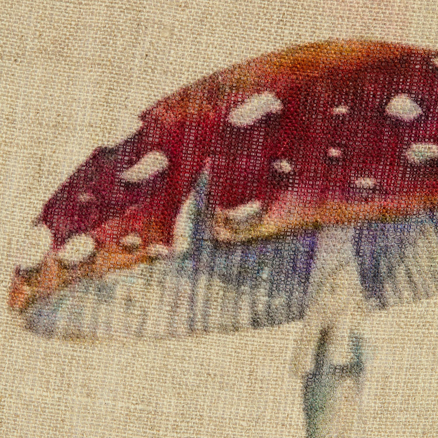 Copricuscino Selarune