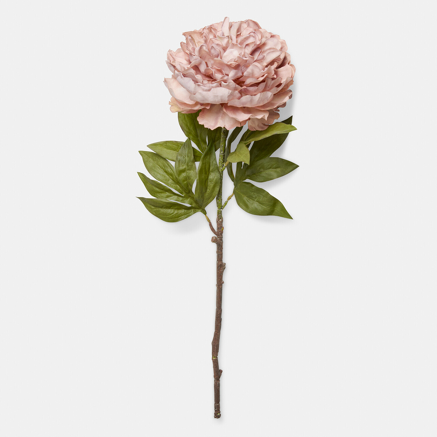Set di 3 peonie decorative Dahlyra