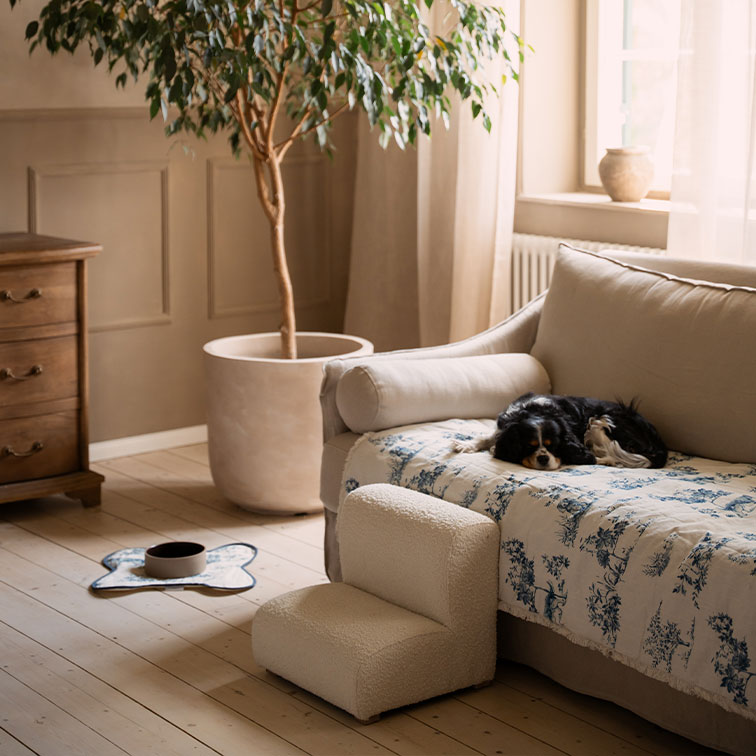 Soggiorno accogliente con divano beige, coperta blu e bianca e cane nero che dorme sopra