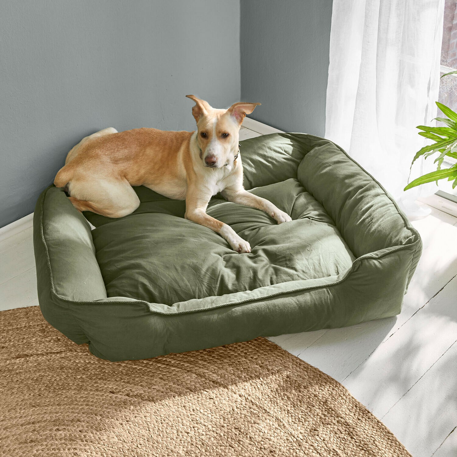 Cuccia per animali Ivandelle