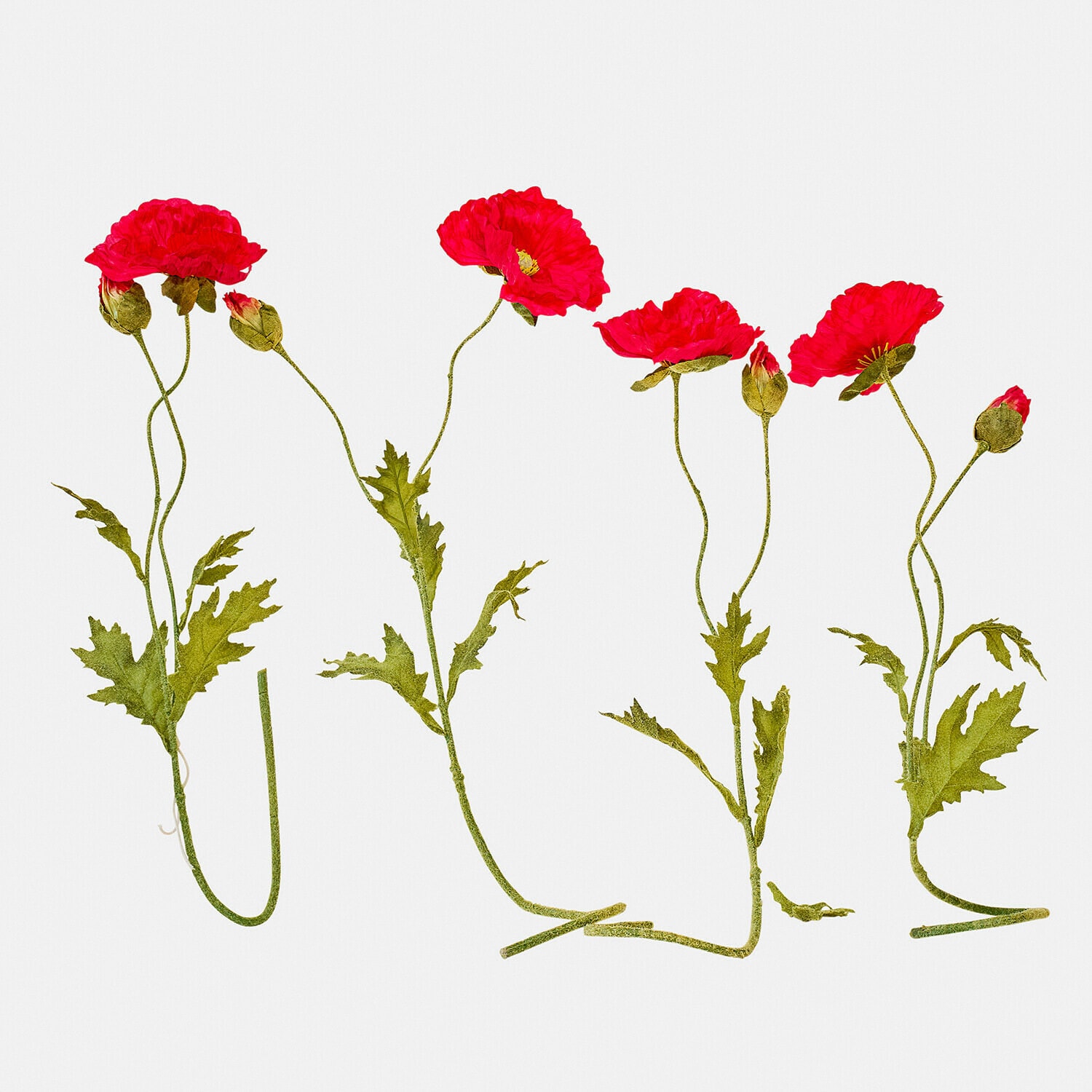 Set di 4 fiori decorativi Doravela