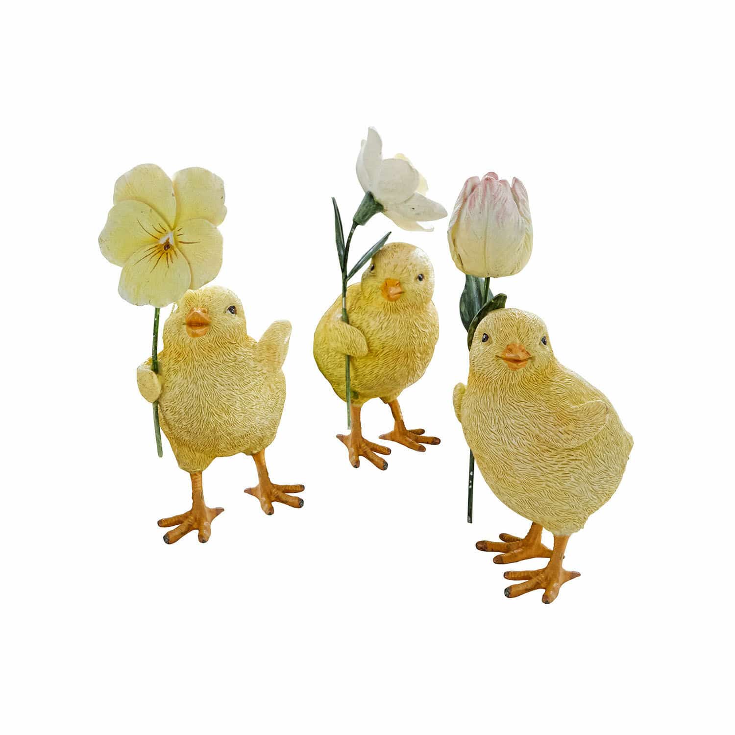 Set di 3 pulcini Duerre