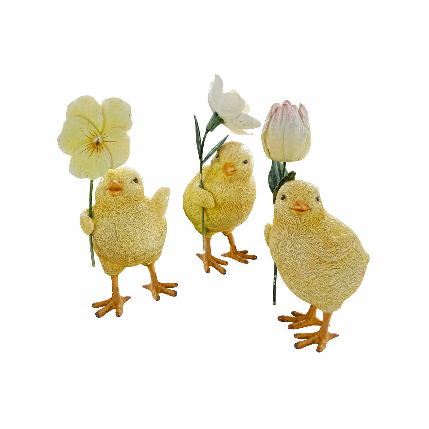 Set di 3 pulcini Duerre