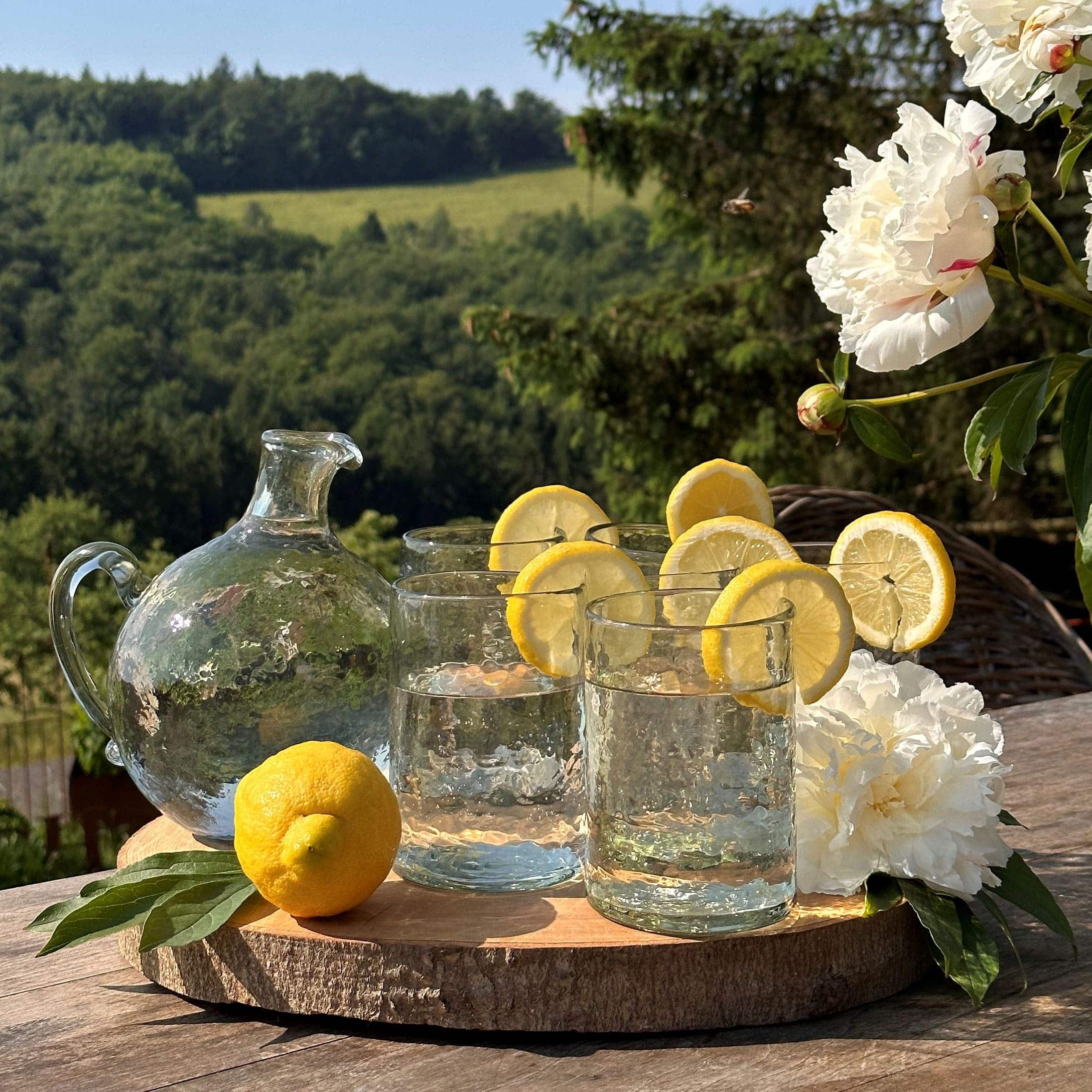 Caraffa e bicchieri di vetro con acqua e fette di limone su vassoio di legno davanti a paesaggio verde