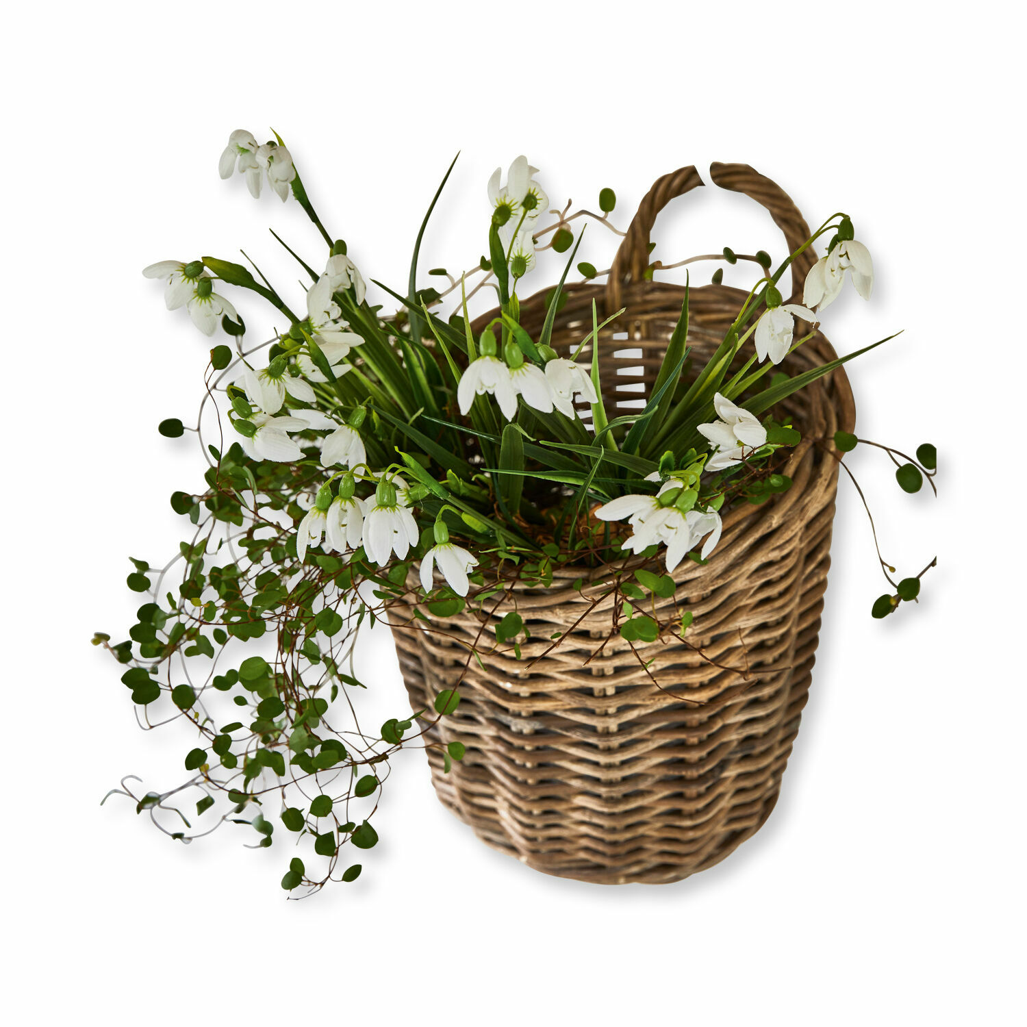 Cesto Korovu Cesto di vimini con fiori bianchi e foglie verdi, decorazione primaverile per la casa