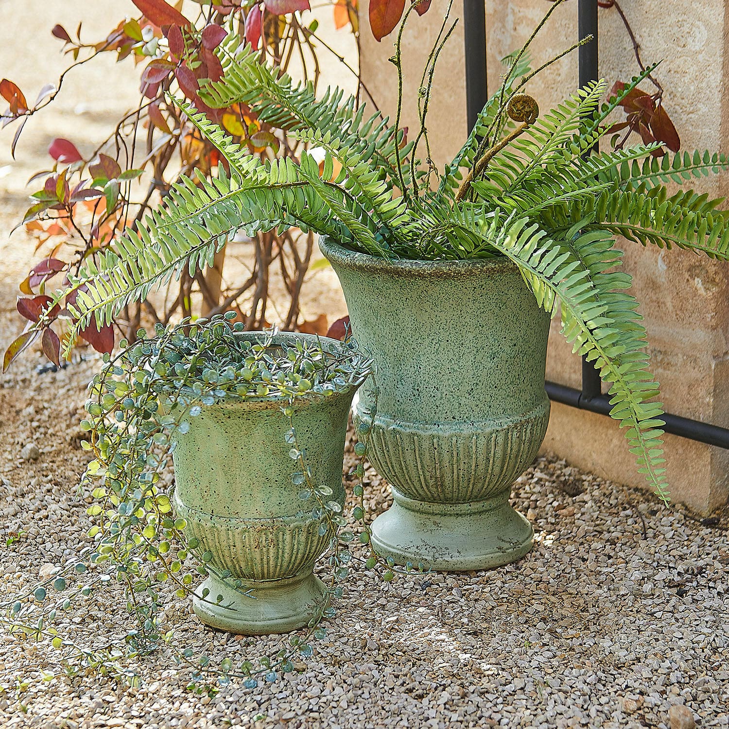 Coppia di anfore Jolivaux Set di due vasi in ceramica verde con piante su ghiaia all'aperto