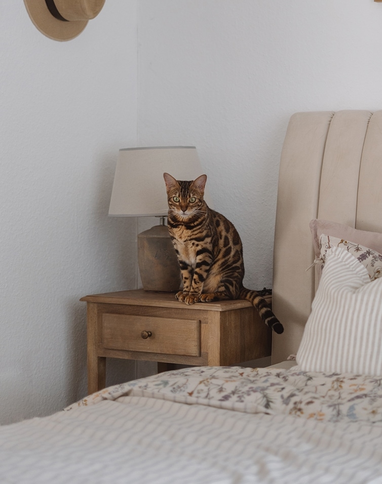 Homestory @alabasterfox Armonia in beige