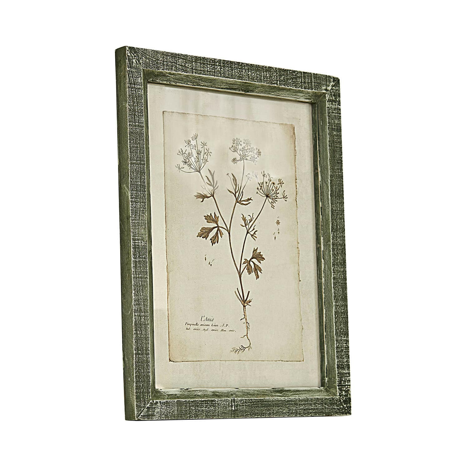 Stampa decorativa Kenwick Quadro botanico con cornice in legno verde e disegno di pianta su sfondo beige per decorazione murale