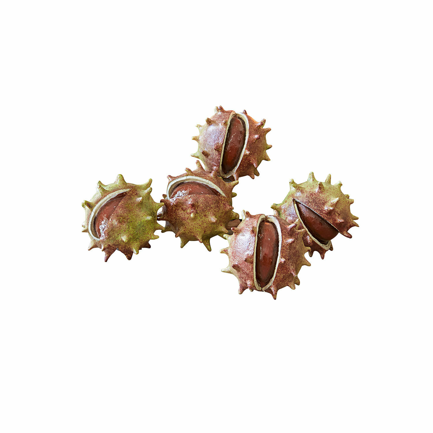 Set di 5 castagne decorative Léo