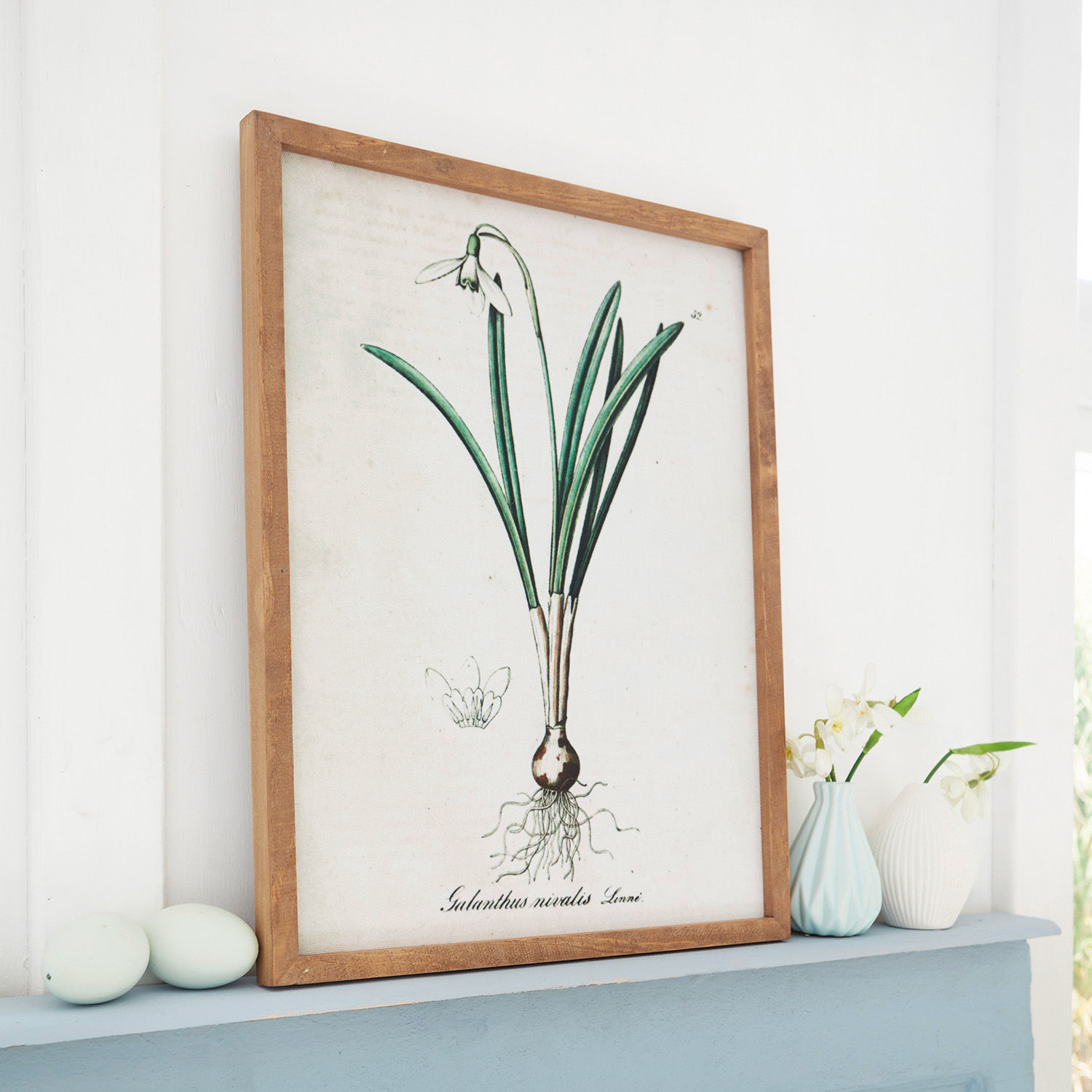 Quadro Willmare Stampa botanica del bucaneve in cornice di legno su mensola decorativa blu