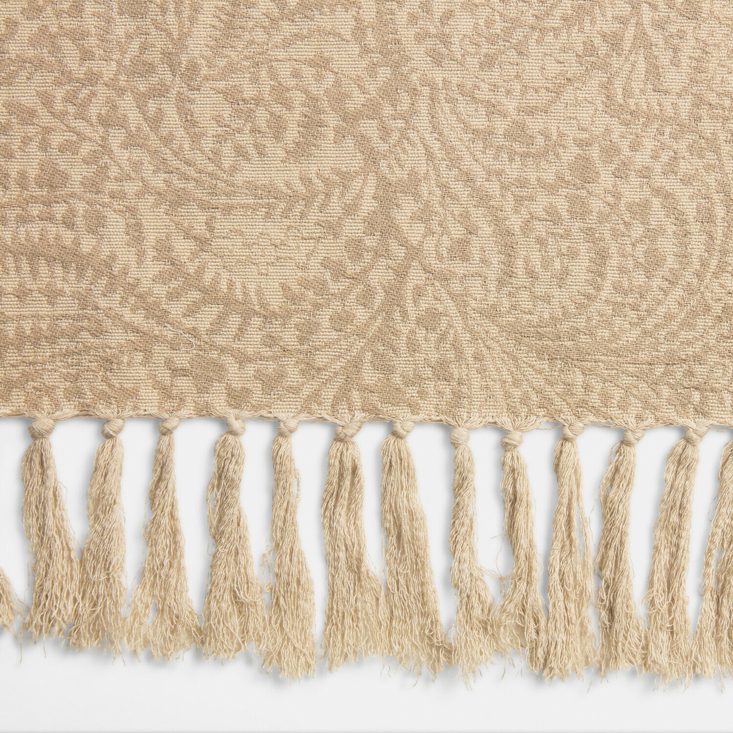 Coperta Ysolenne
