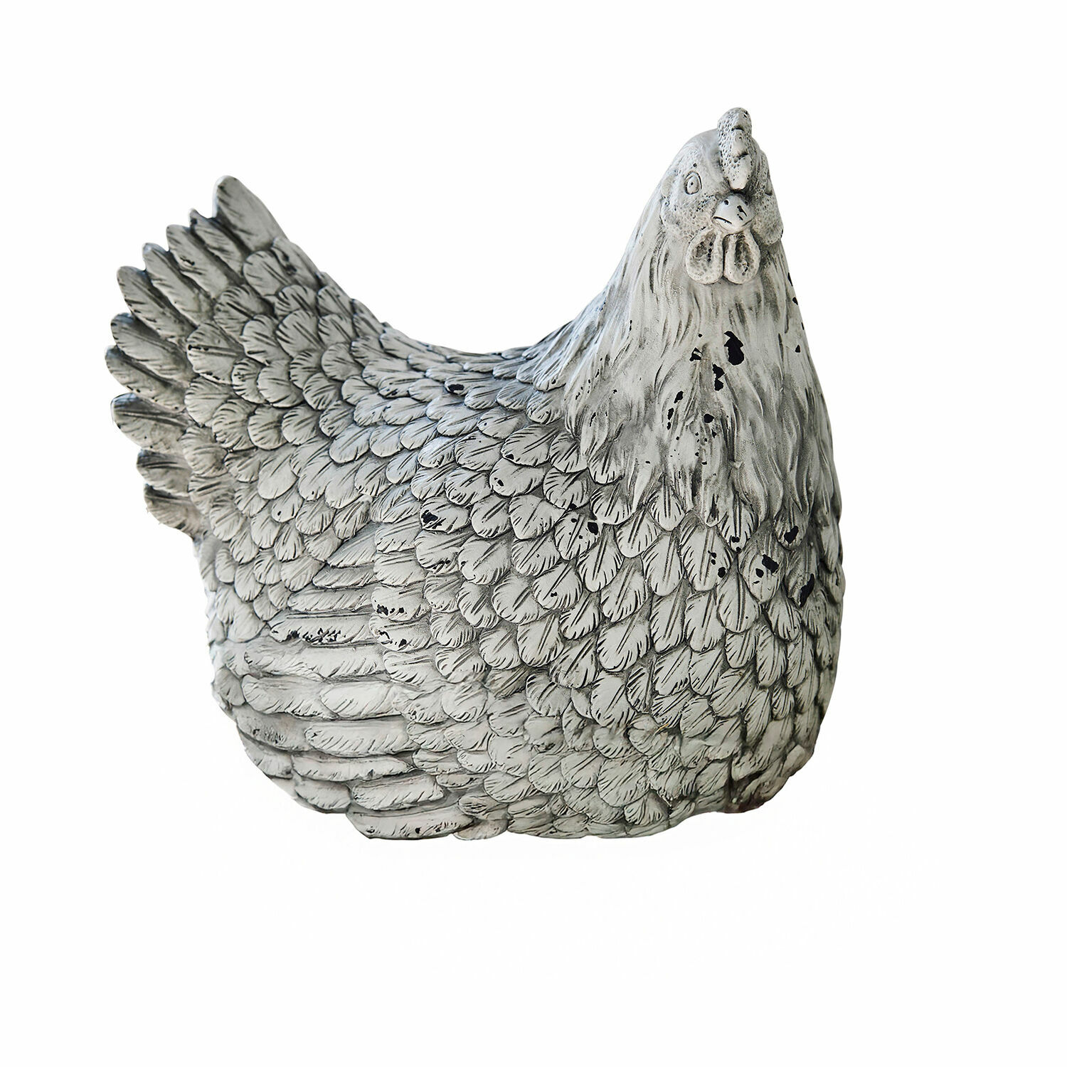 Gallina decorativa Delmonico