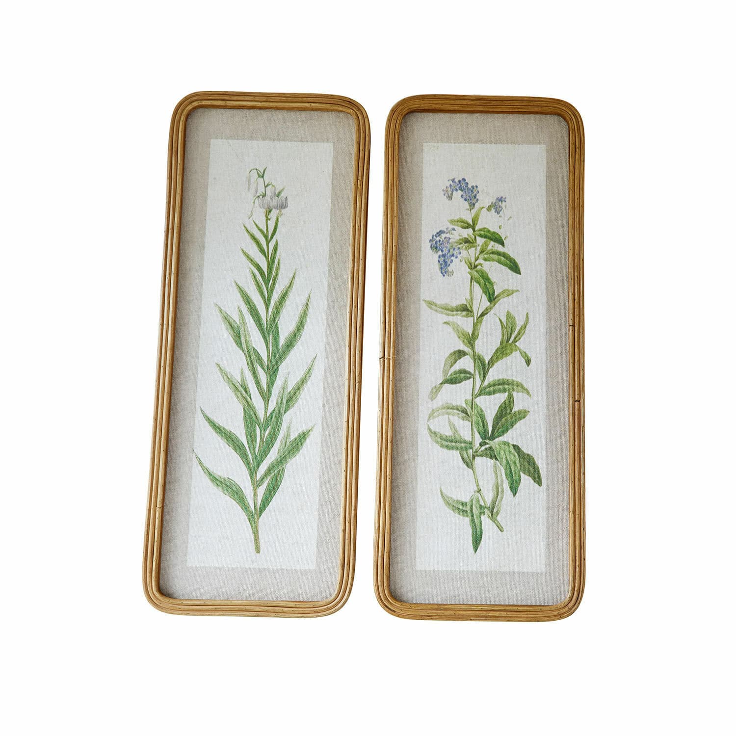 Coppia di quadretti Cenori Set di due stampe botaniche con motivi vegetali in cornici di legno su sfondo di lino