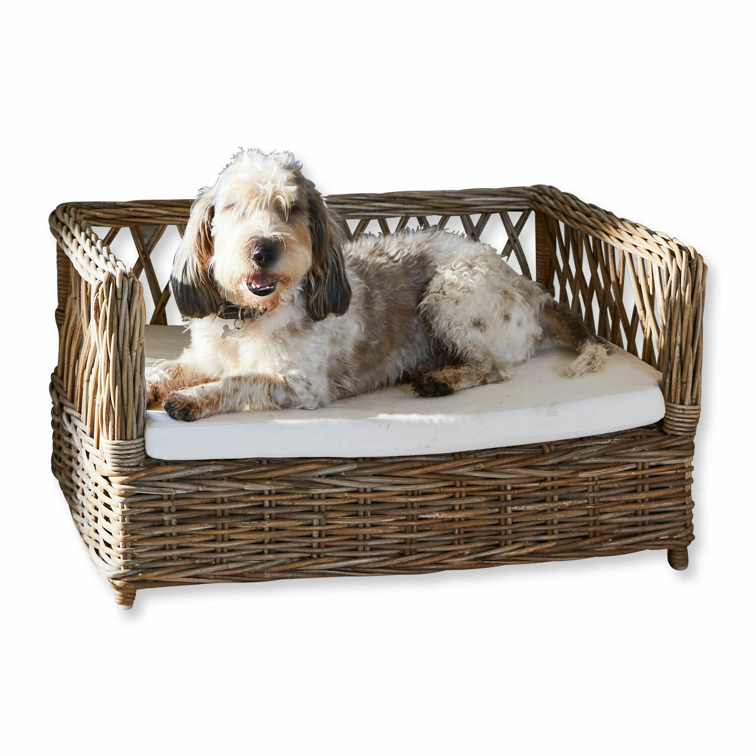 Letto per cani Cordillera