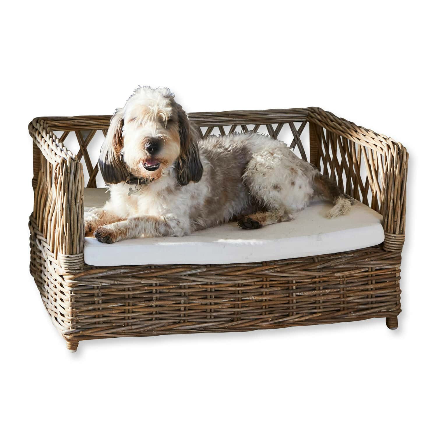 Letto per cani Cordillera