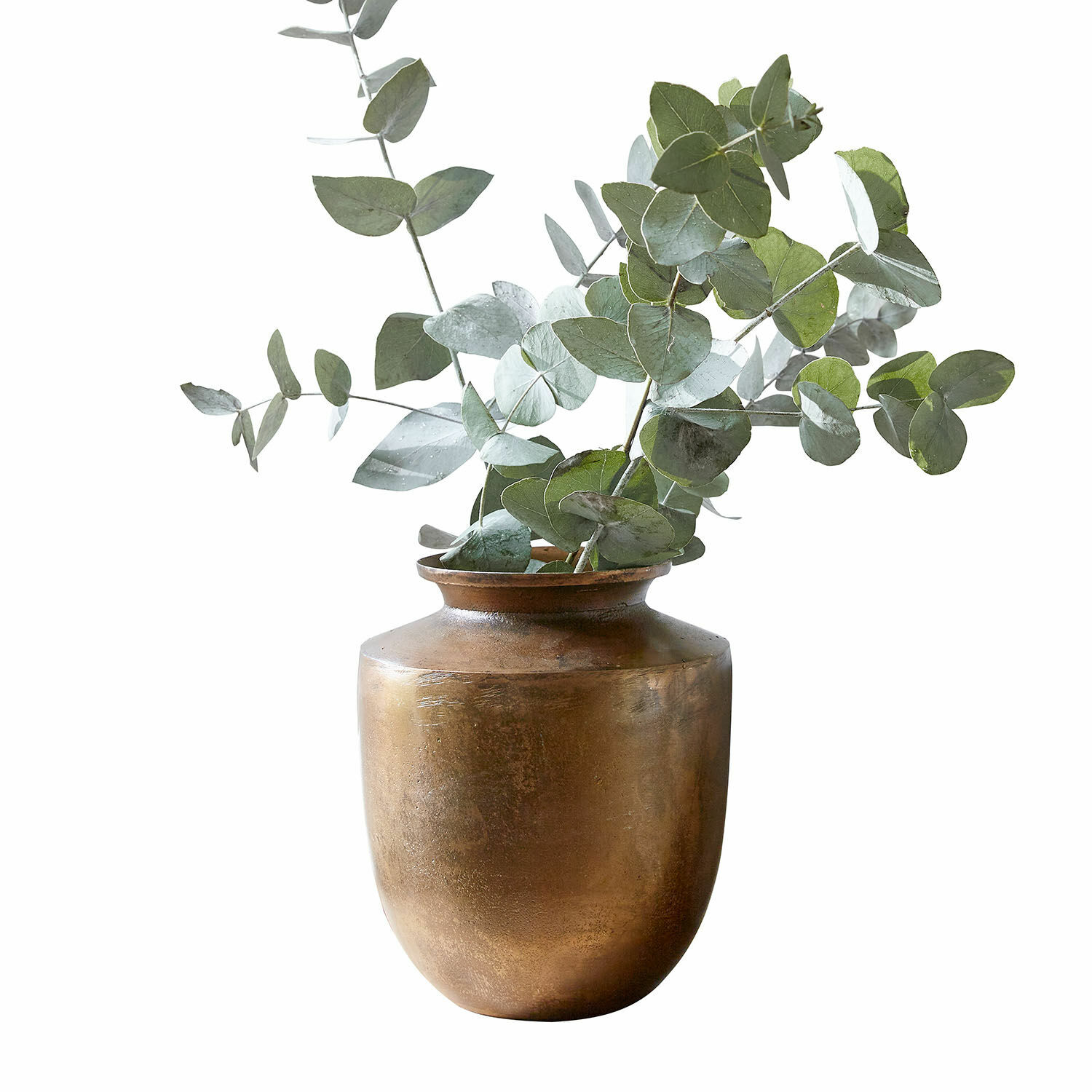 Vaso Toulane Vaso in ottone con foglie verdi di eucalipto per decorazione rustica d'interni