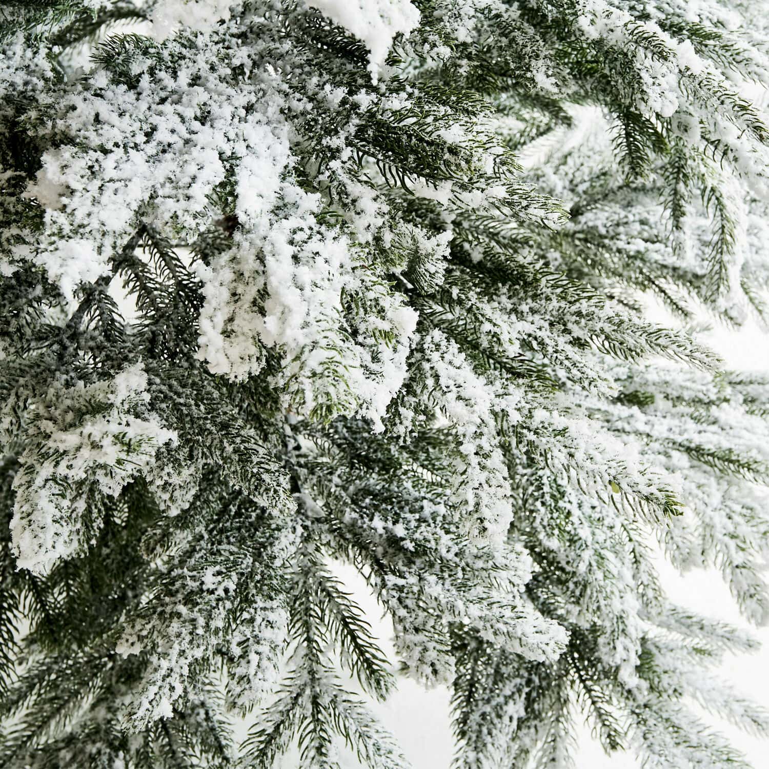 Albero di Natale Lokossa