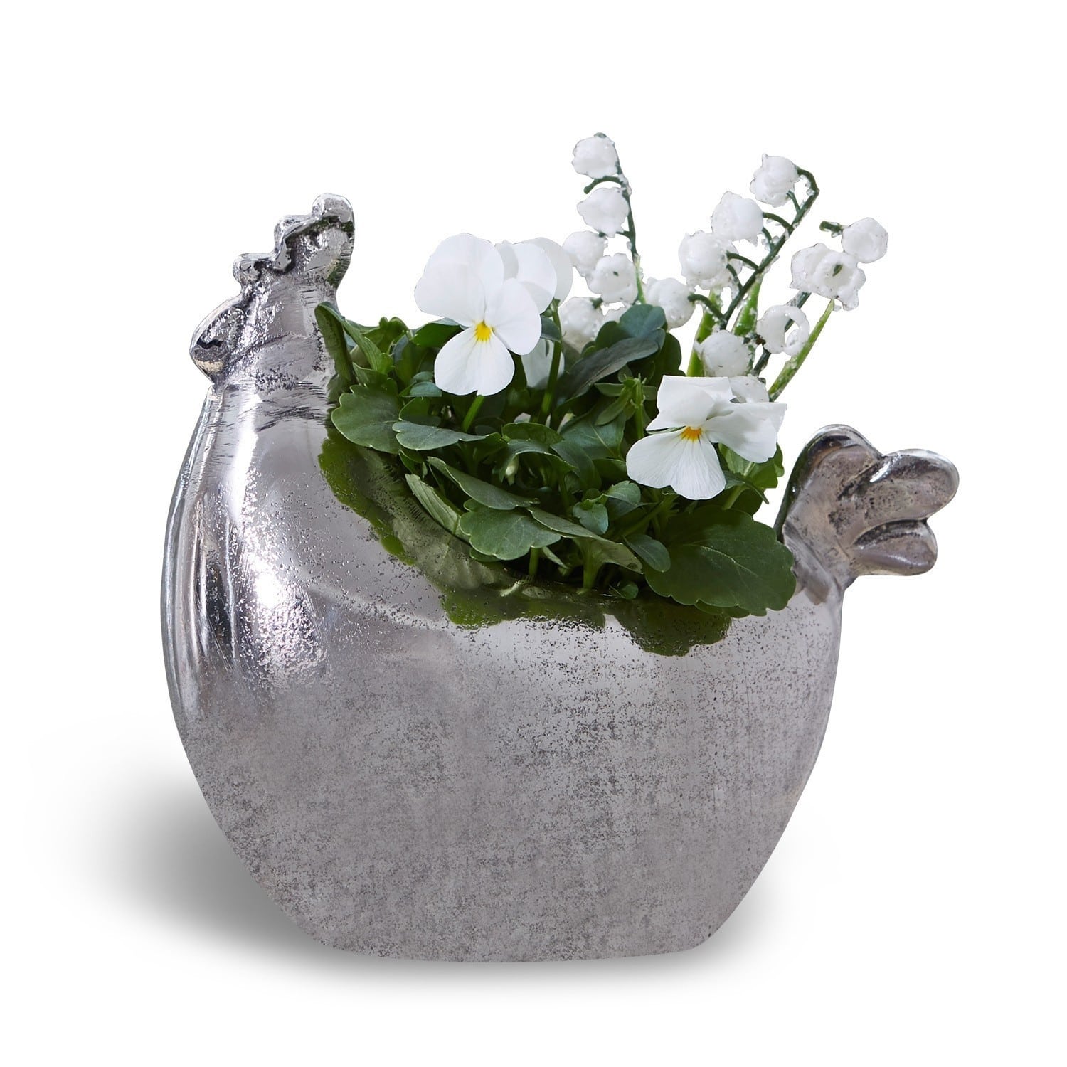 Vaso Sabya