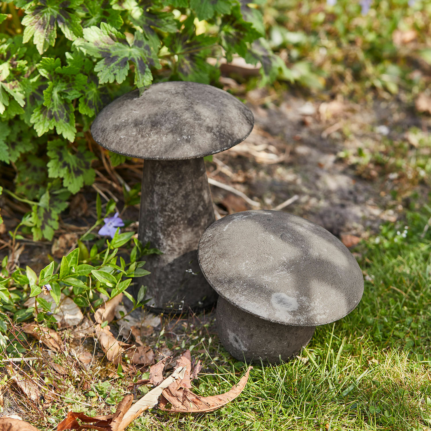 Coppia di funghi decorativi Coudrelle