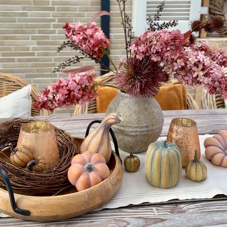 Il fascino autunnale delle zucche