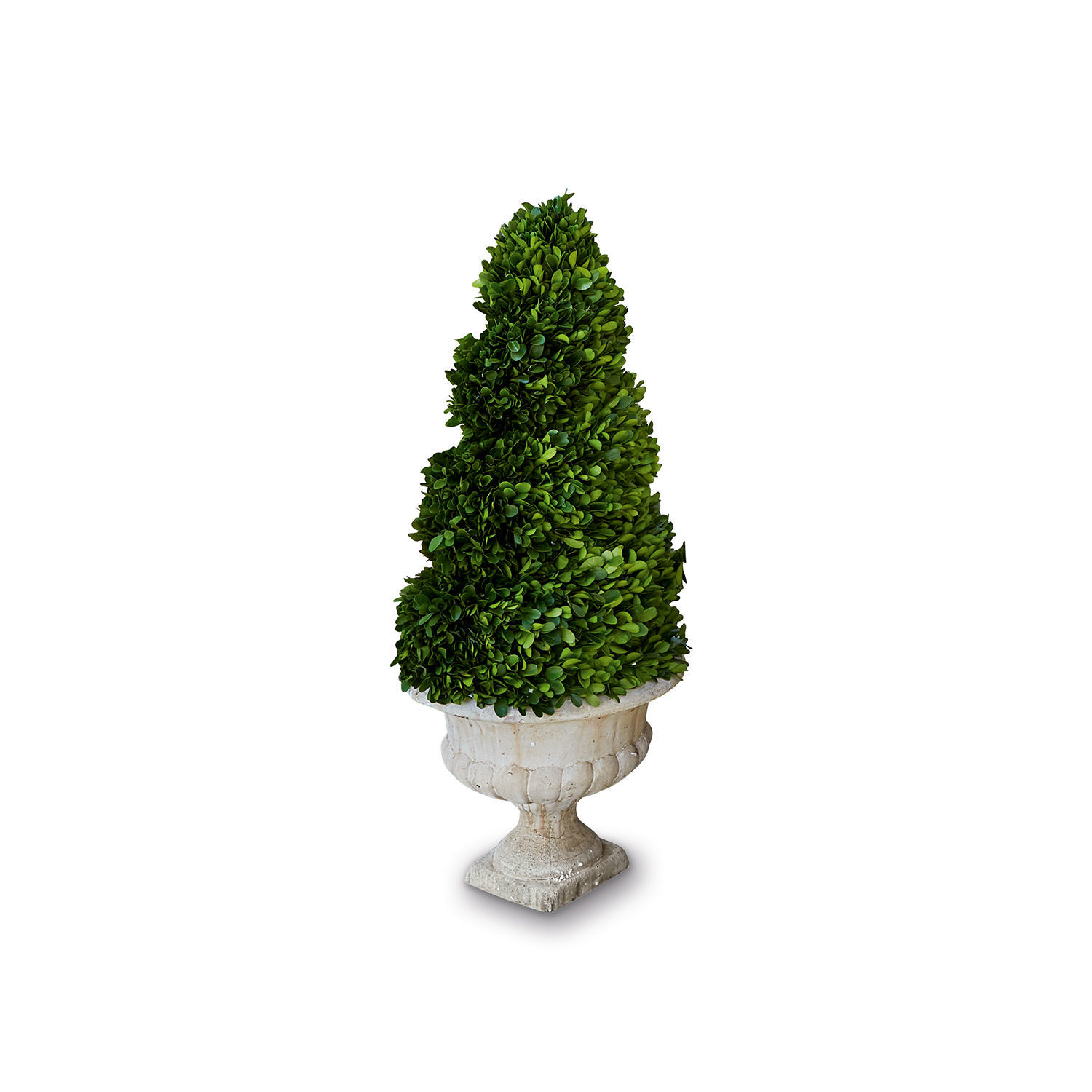 Albero decorativo Humbria
