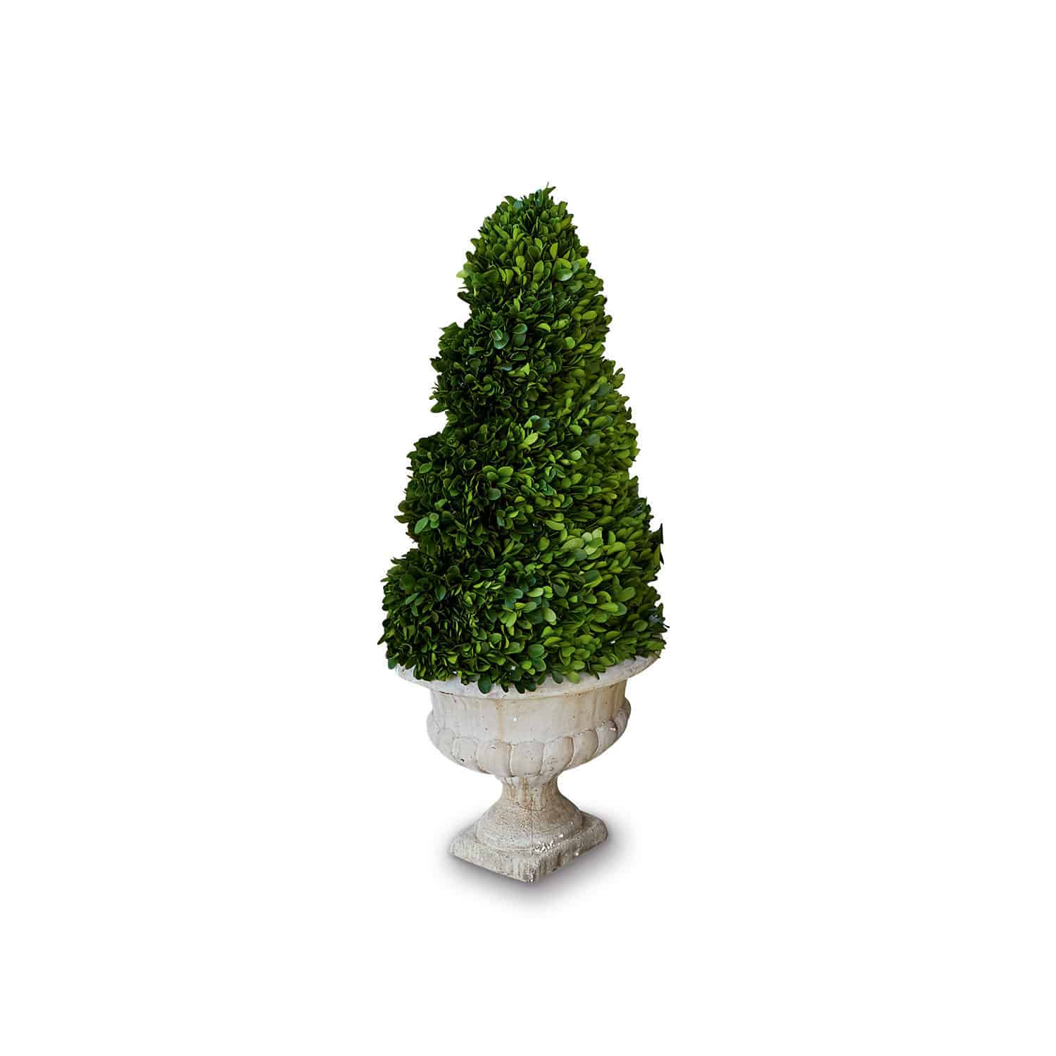 Albero decorativo Humbria