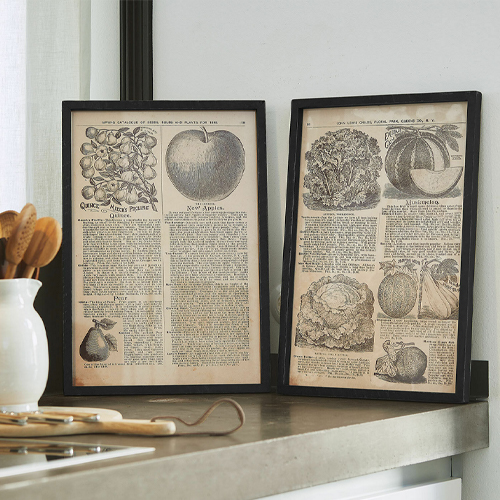 Due cornici nere con illustrazioni vintage di frutta e verdura su piano cucina, decorazione