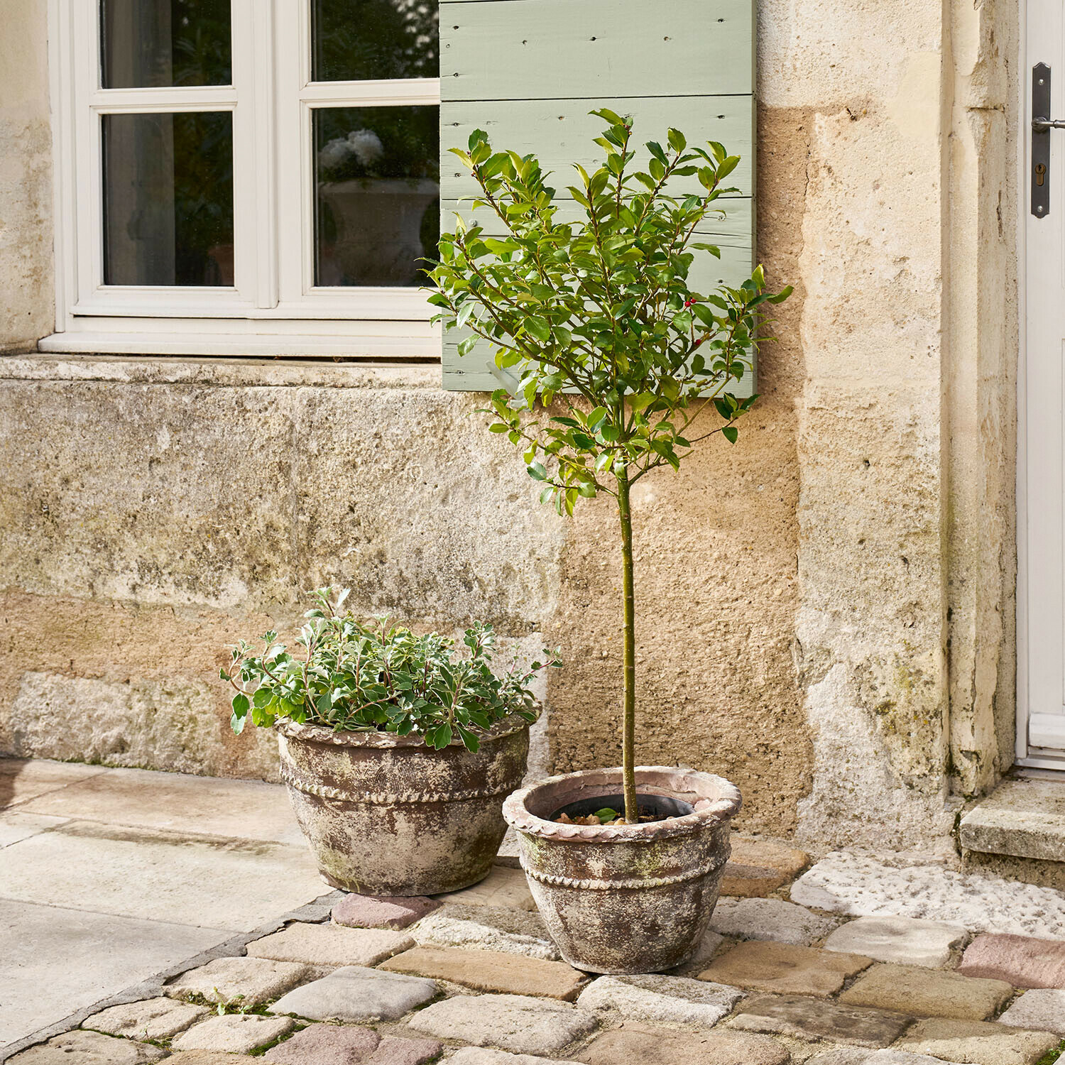 Coppia di portavasi Montérise Due fioriere in terracotta invecchiata con piante su un cortile lastricato vicino a un muro in pietra