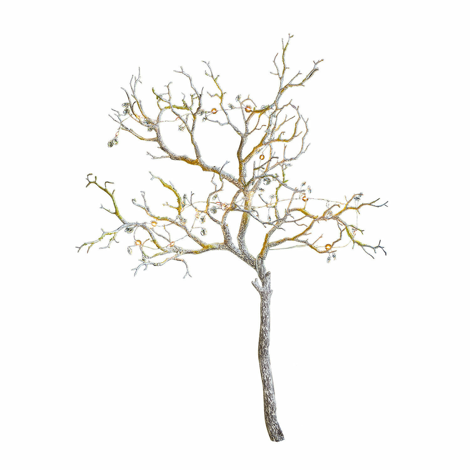 Ramo decorativo Orélie Albero decorativo in rami metallici colore naturale per interni e giardini