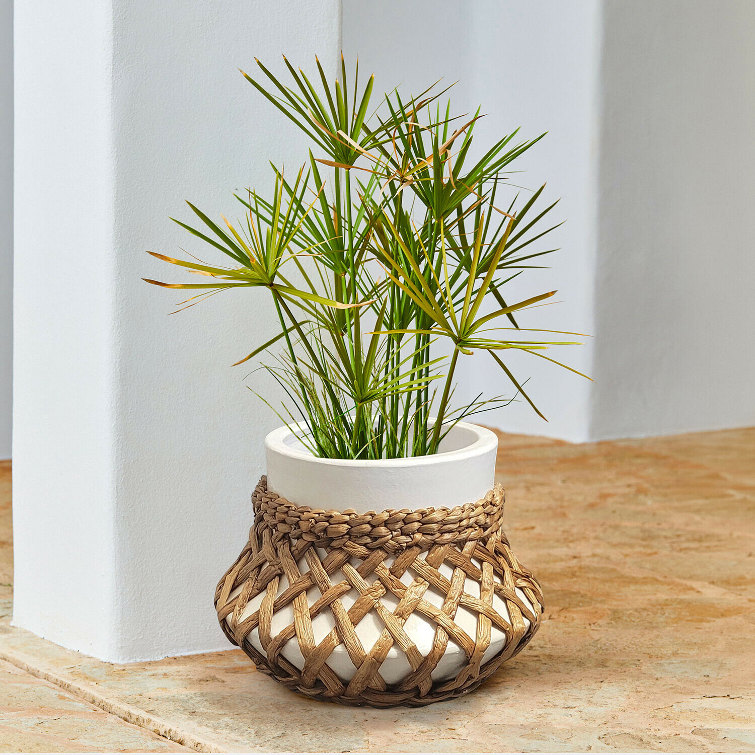 Portavaso Amariel Vaso in ceramica bianca con copertura intrecciata in vimini e pianta verde su pavimento in pietra
