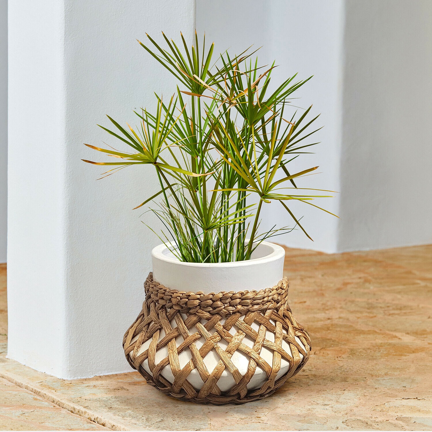 Portavaso Amariel Vaso in ceramica bianca con copertura intrecciata in vimini e pianta verde su pavimento in pietra