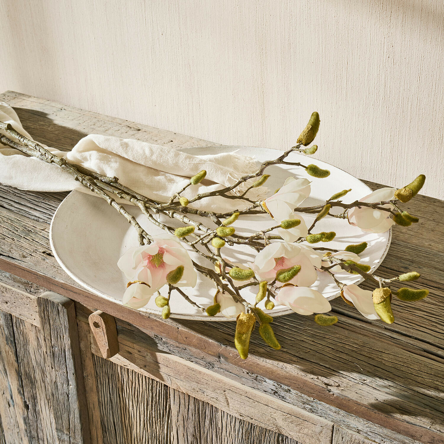 Rami di magnolia con fiori bianchi e gemme verdi su tavolo rustico in legno con piatto bianco