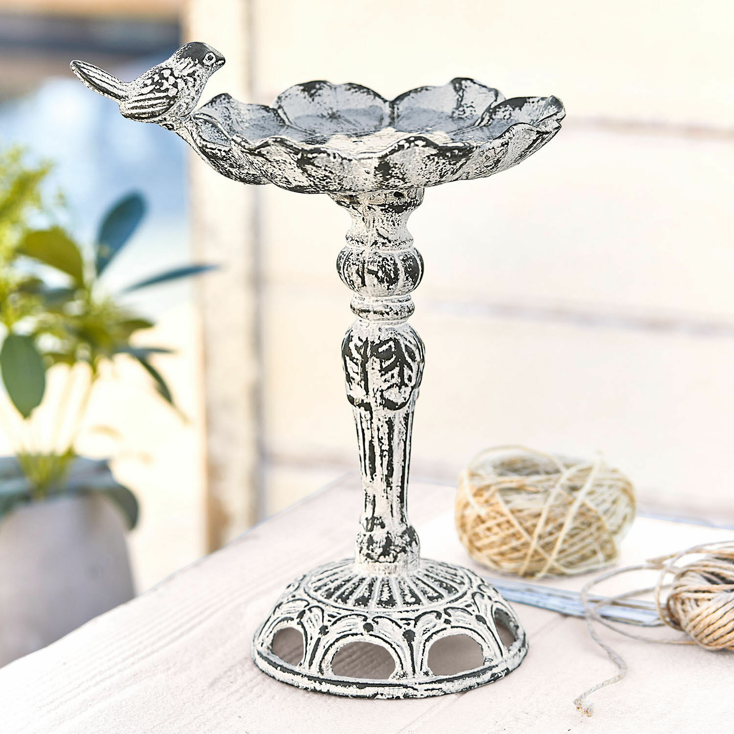 Abbeveratoio per uccellini Petrofani Alzata decorativa in metallo bianco con uccello, ciotola ornamentale su piedistallo per casa e giardino