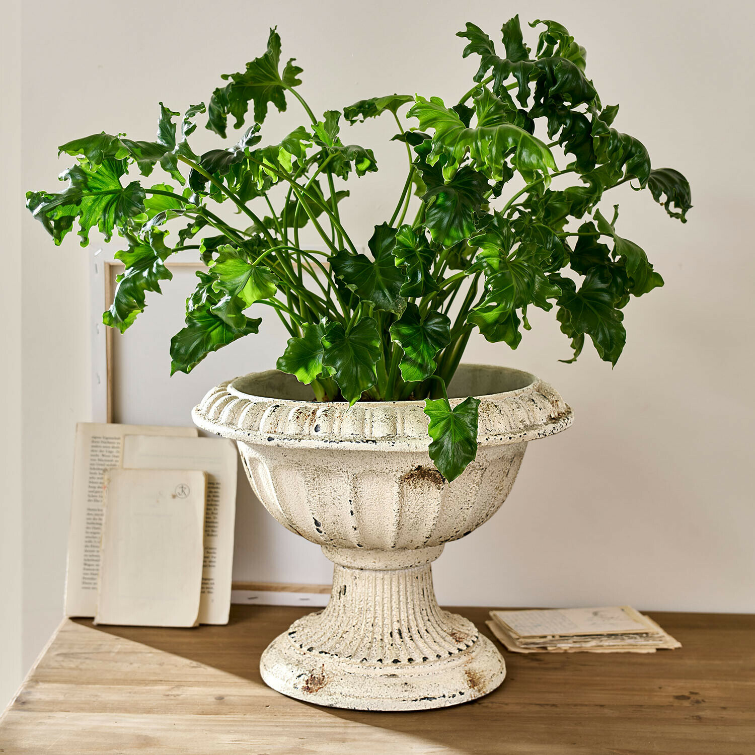 Vaso in ceramica bianca con pianta verde su tavolo in legno, decorazione d'interni