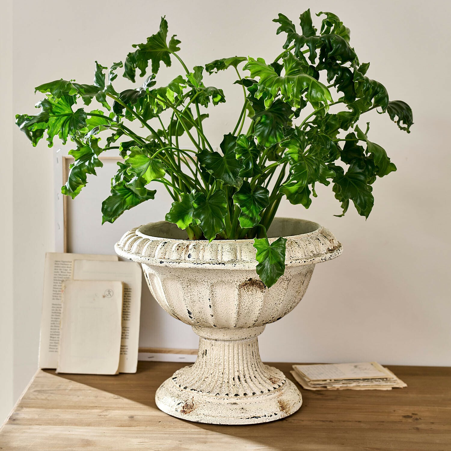 Anfora Islene Vaso in ceramica bianca con pianta verde su tavolo in legno, decorazione d'interni