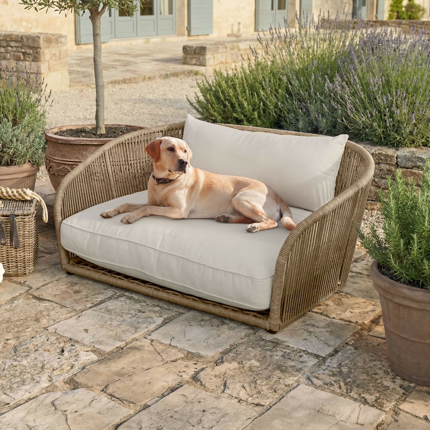 Divano per animali per interni ed esterni Belvidere Divano beige intrecciato con cuscini crema su patio in pietra, cane sdraiato accanto a piante in vaso