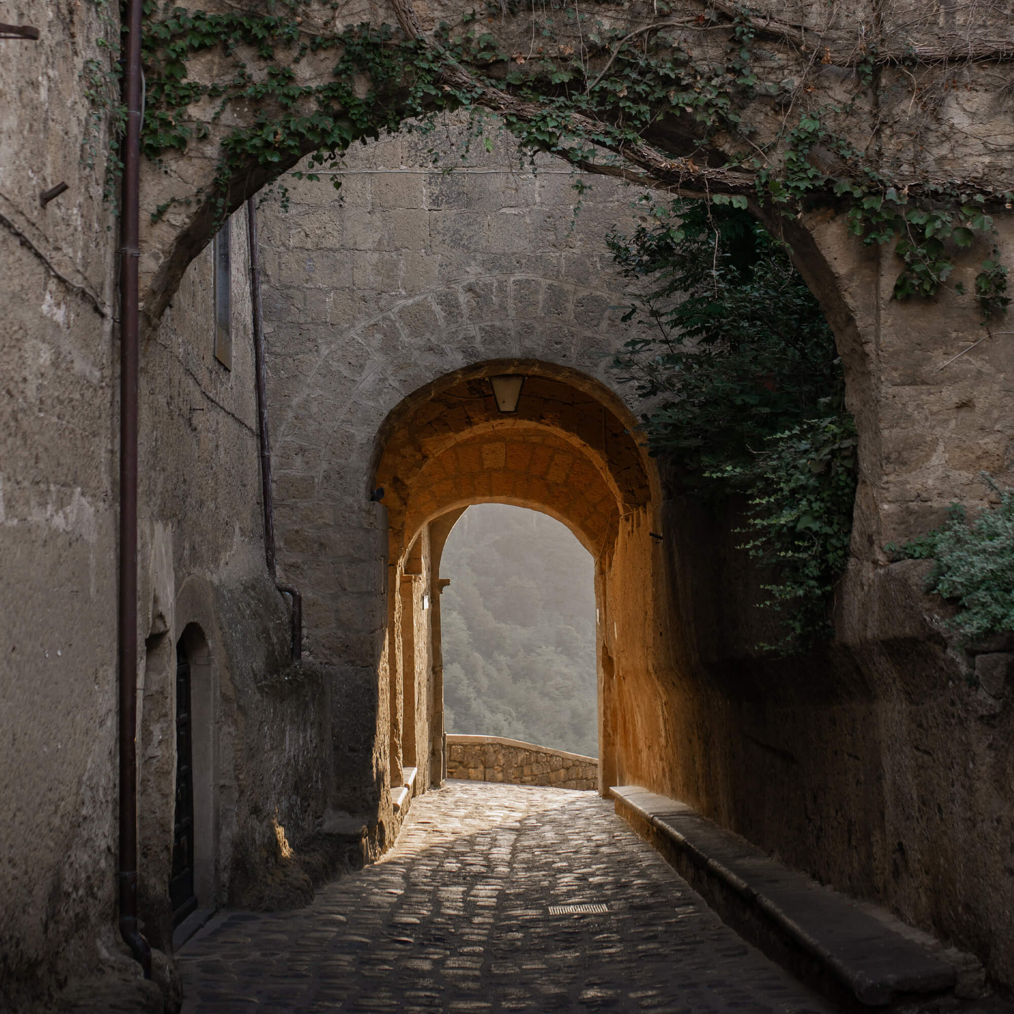 Arco in pietra con vite sopra un sentiero lastricato illuminato da luce calda in ambiente storico