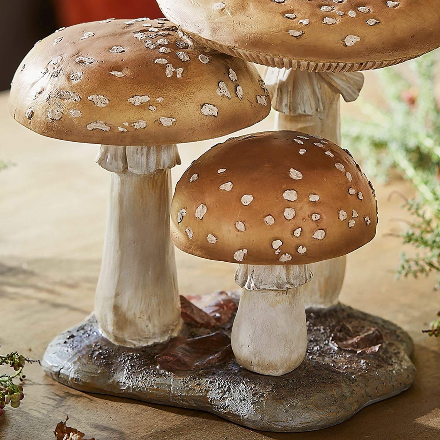 Funghi decorativi Harvelle