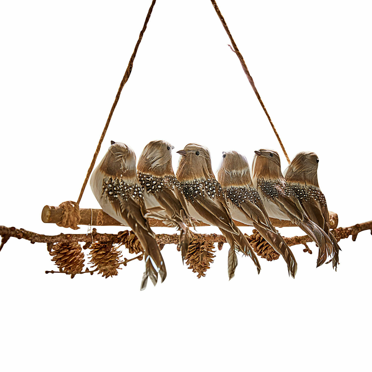 Ramo con uccellini Orely Decorazione sospesa con sei uccelli marroni e pigne su ramo di legno con corda