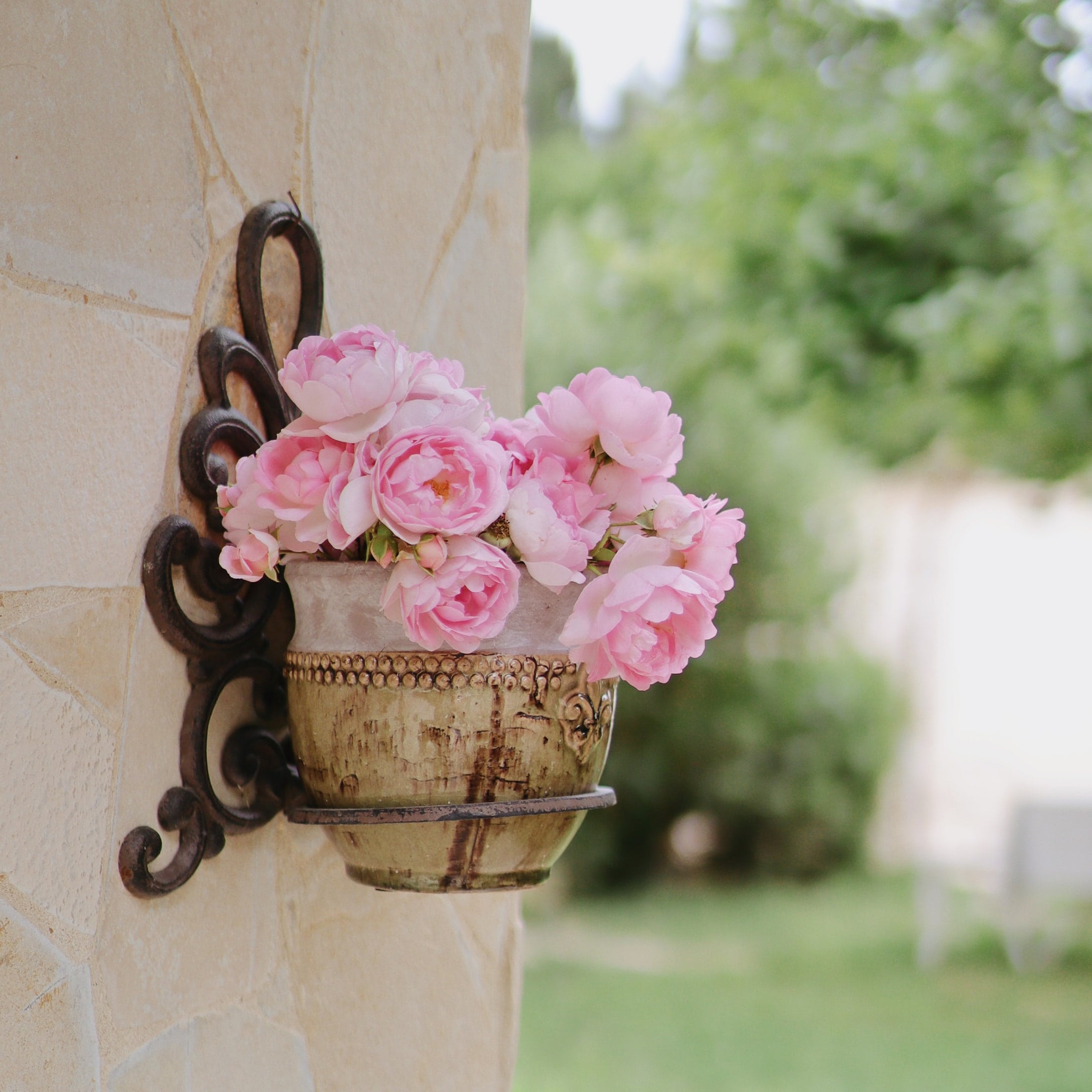 Fiori rosa in vaso di ceramica decorativo con supporto metallico su muro di pietra