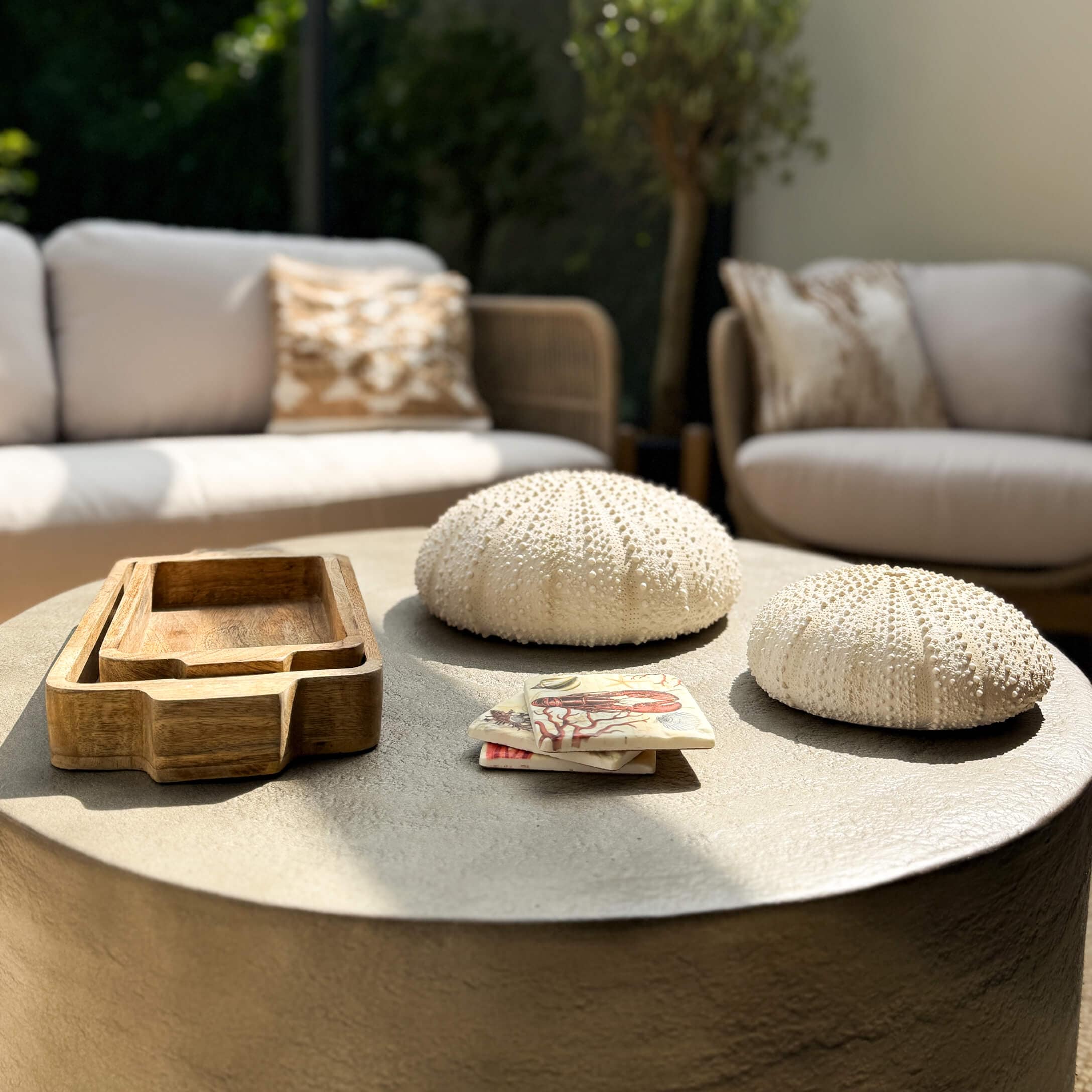 Decorazioni con ricci di mare bianchi e vassoi in legno su tavolo grigio in soggiorno moderno con divani chiari