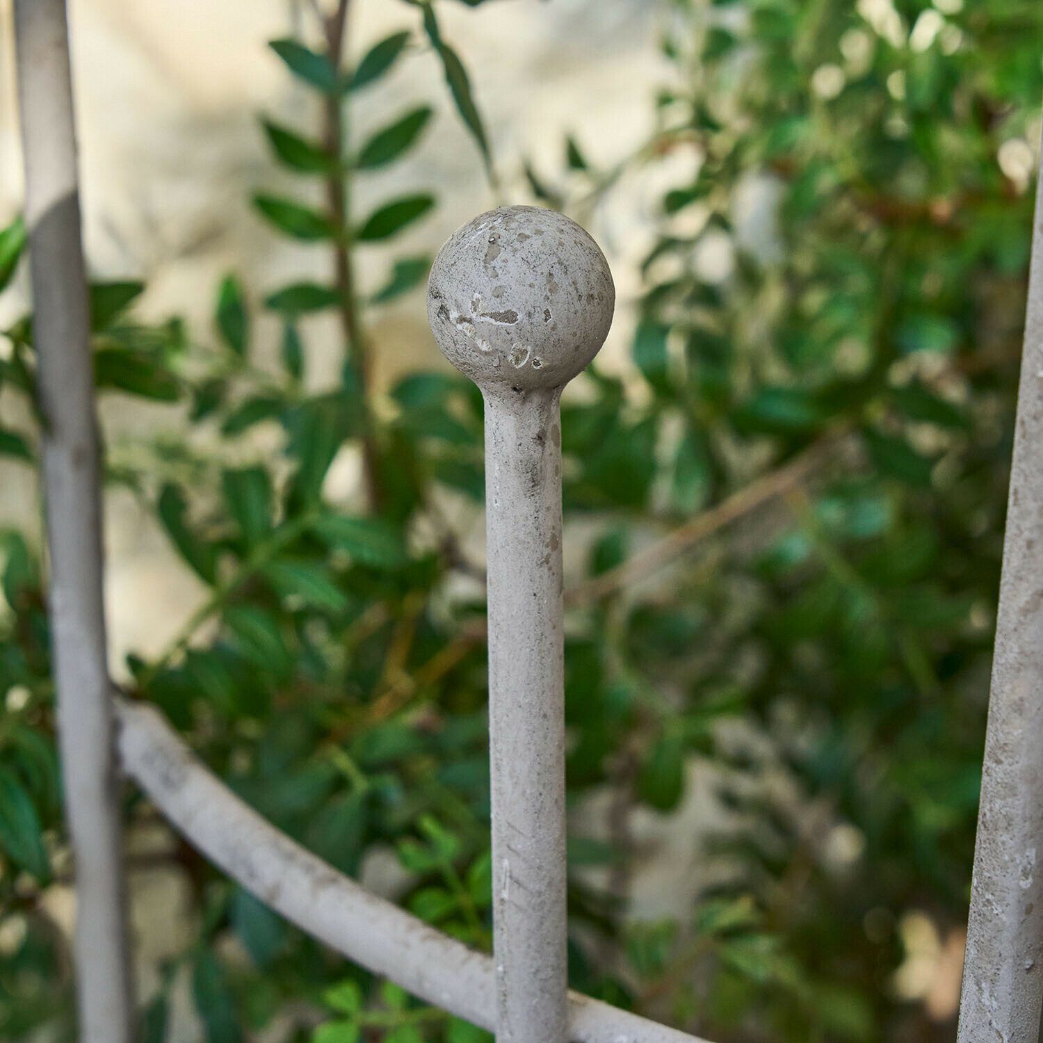 Traliccio per rampicanti Ormisse