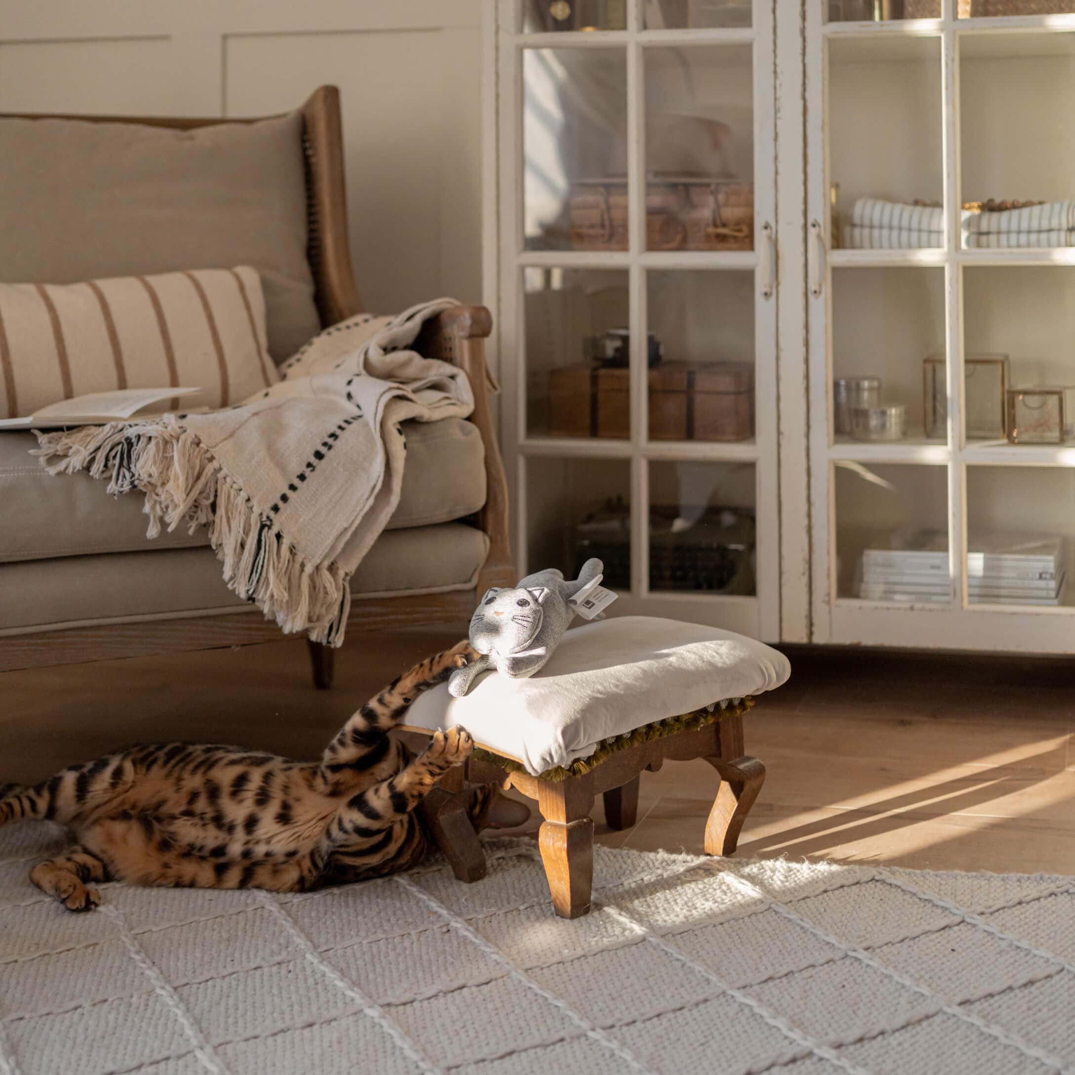 Gatto di peluche grigio su poggiapiedi bianco in legno in soggiorno accogliente con gatto che gioca sul tappeto