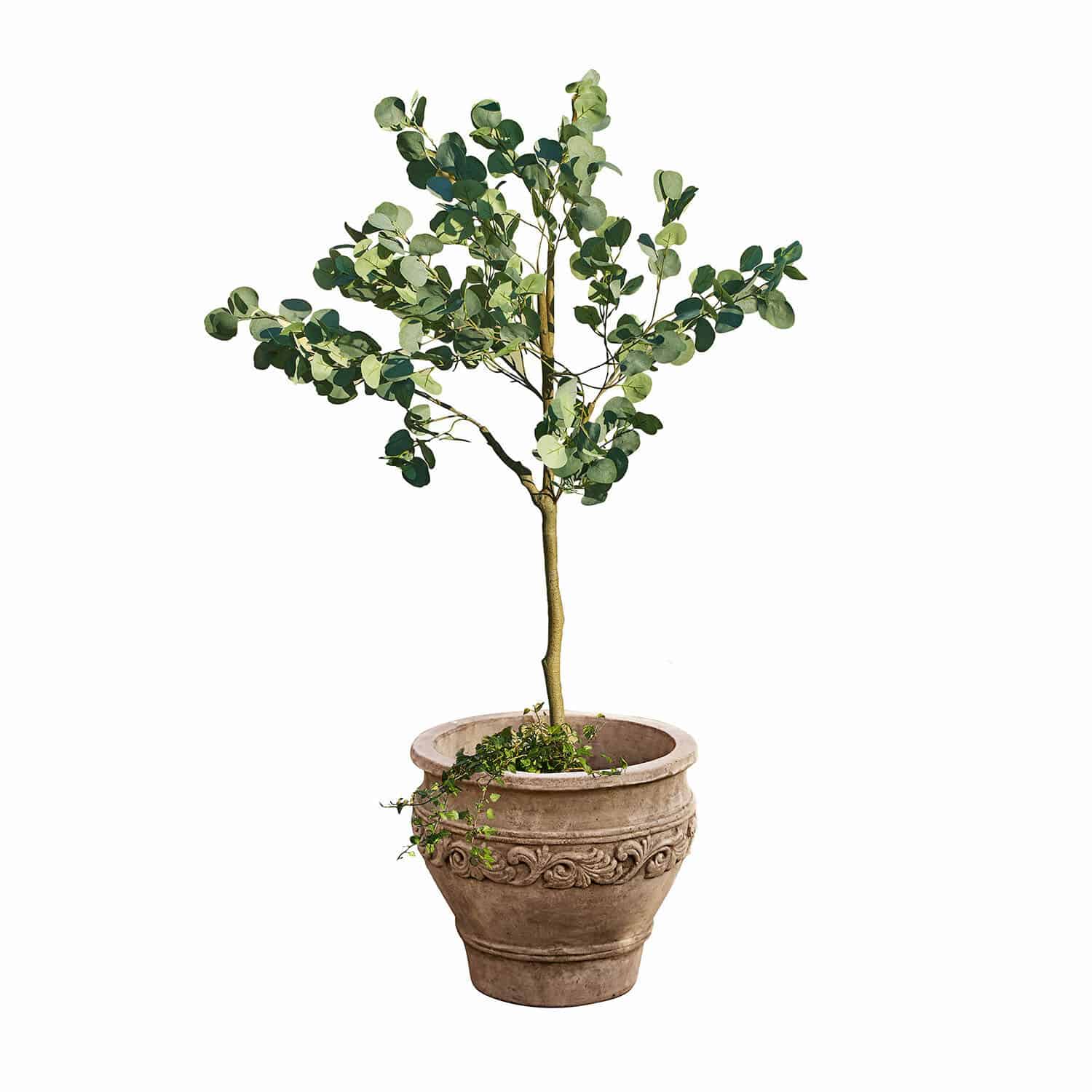 Alberello decorativo Yverdon