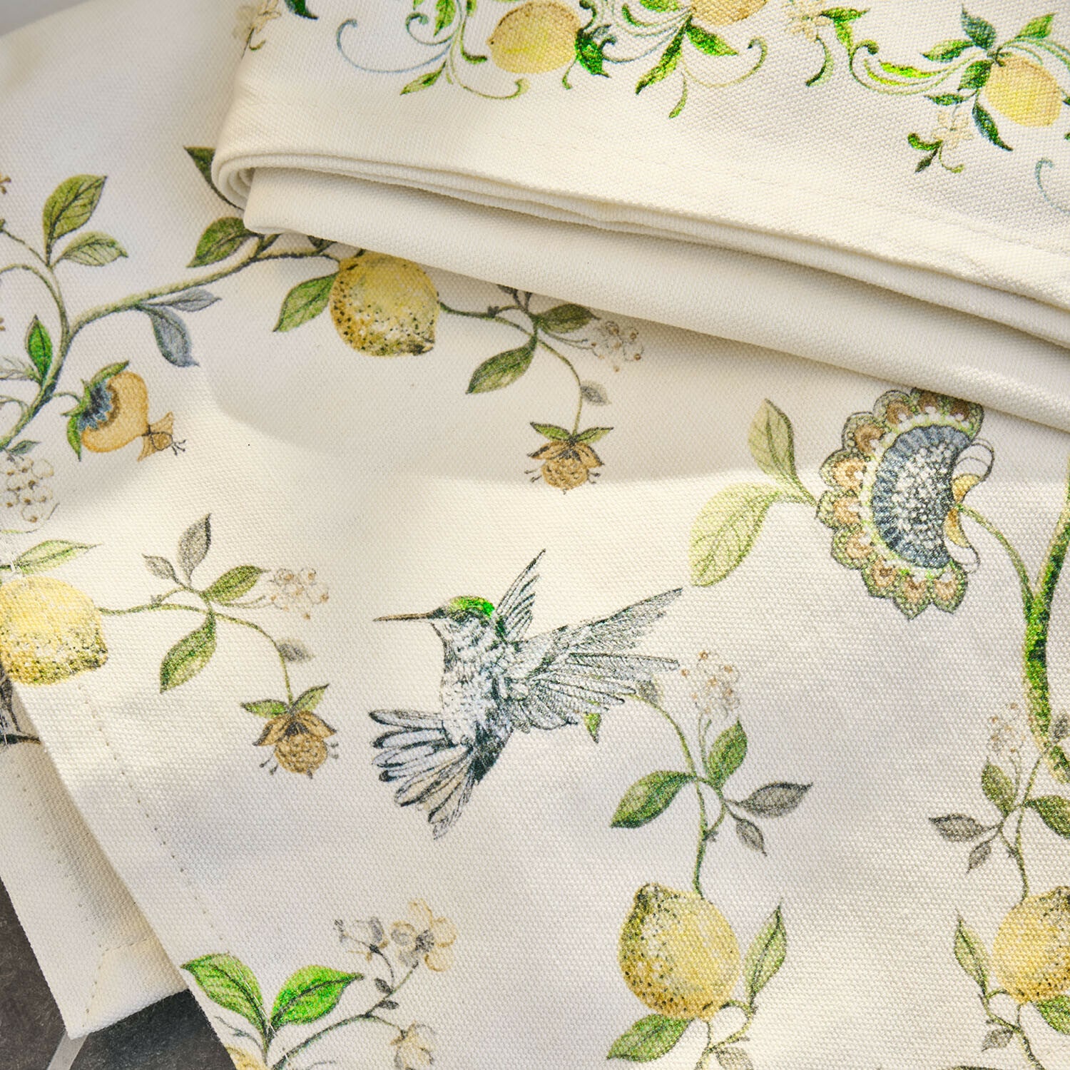 Coppia di canovacci Solianne