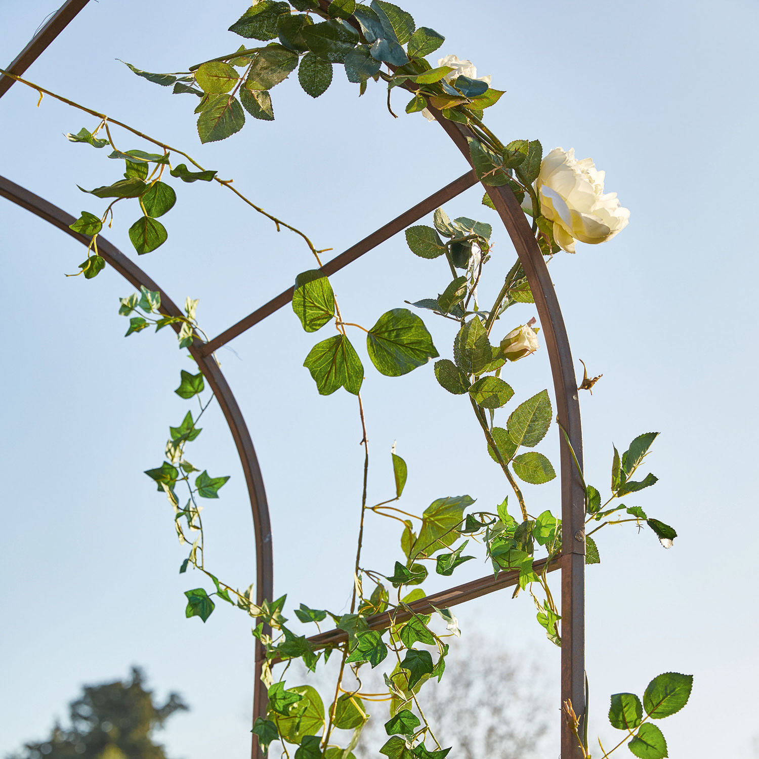 Arco da giardino Dimarus